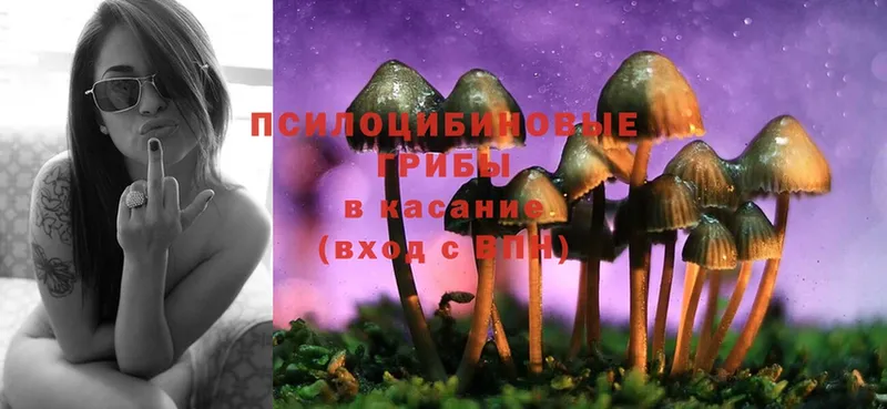 Галлюциногенные грибы MAGIC MUSHROOMS  купить закладку  mega ссылка  Уржум 